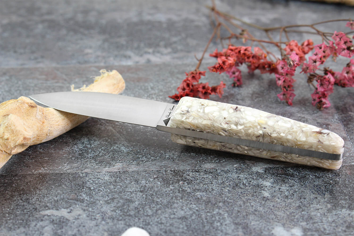 Couteau à huîtres Charles Canon 6,5cm en Saint Jacques