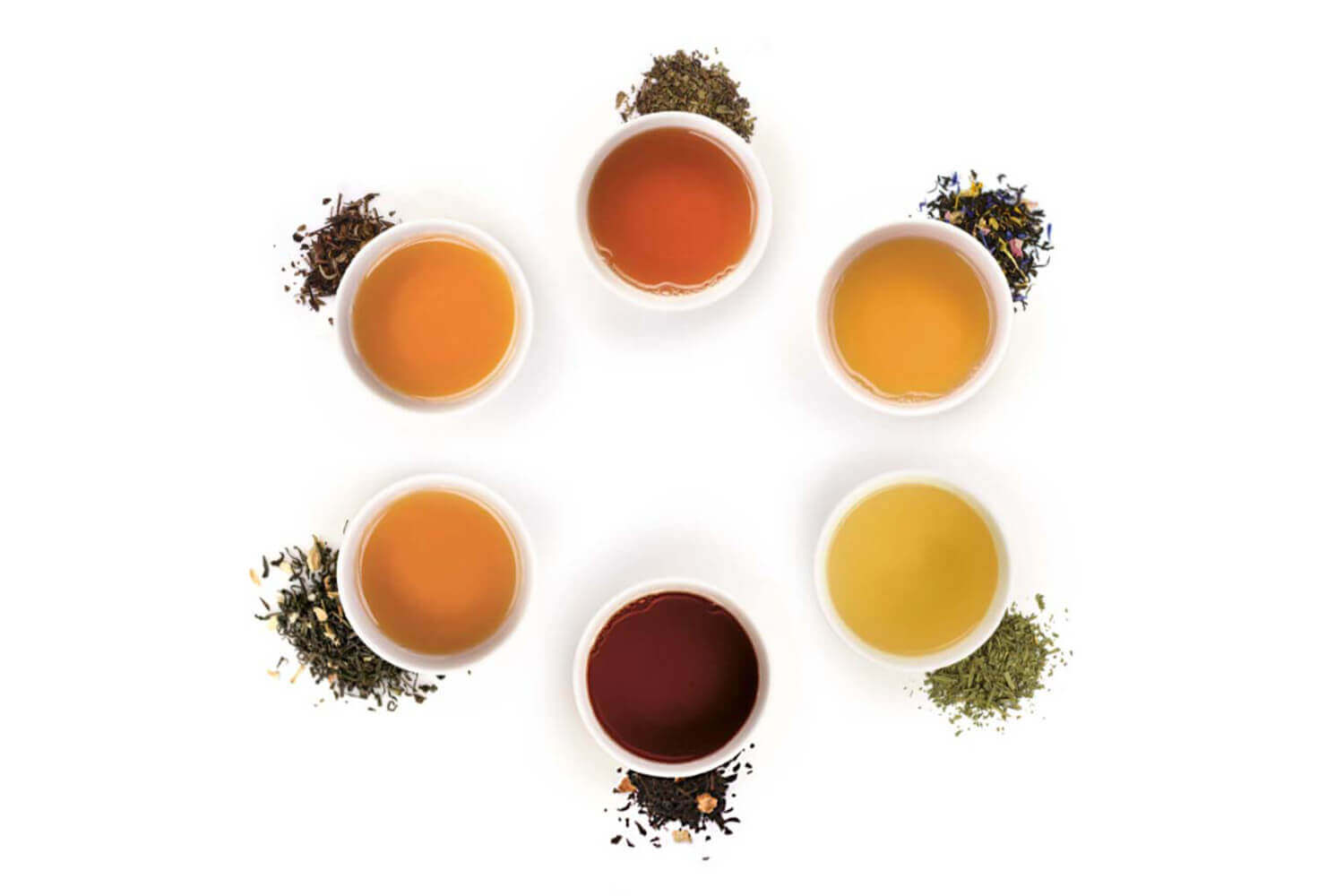 Coffret de 48 sachets de thé Hospitalité bio Terre d'Oc - 401 g