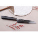 Couteau universel kiritsuke japonais Kanetsugu Zuiun Kiwami revêtement DLC 15cm