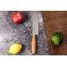 Couteau santoku 18cm Wusaki Fujiko 10CR damas