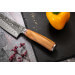 Mallette de 5 couteaux de cuisine Wusaki Damas 10Cr manches en olivier