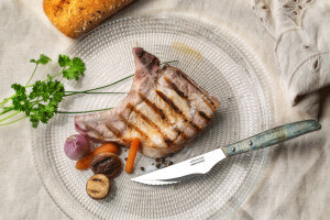 Coffret de 6 couteaux à steak/pizza Arcos lame dentelée 11cm manche bois bleu