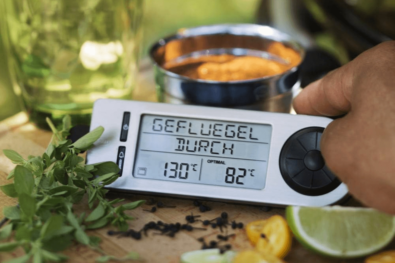 Thermomètre de Cuisine Thermomètre de Cuisson Numérique en Acier