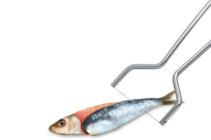 Fileteur à sardines Triangle en acier inoxydable